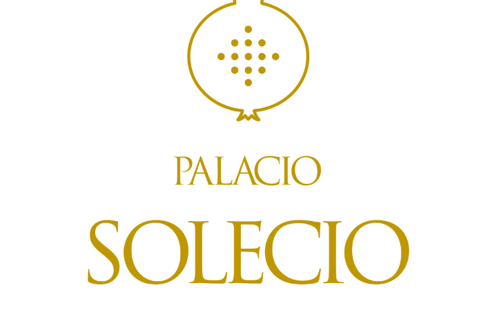 Palacio Solecio